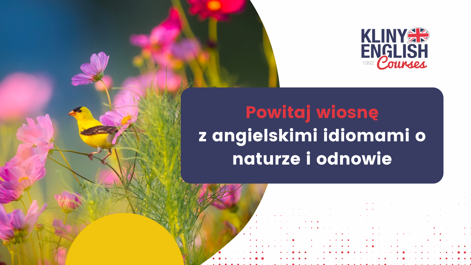 Angielski ruczaj